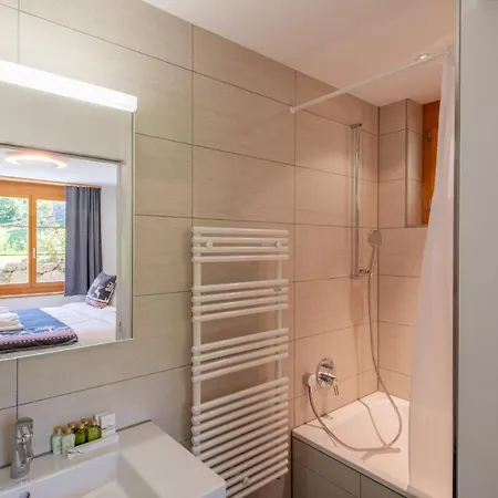 Panoramapark Soleil B Garden Apartment Wengen